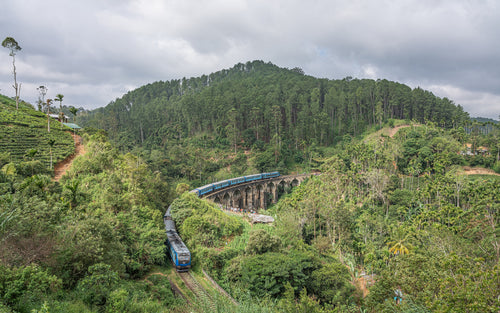 Blue train crossing the Nine Arch Bridge near Ella, Sri Lanka (photo: A.Savin, Free Art License, Wikimedia Commons)