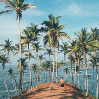 11 Day Sri Lanka Group Cultural Experience — Immersive and Authentic