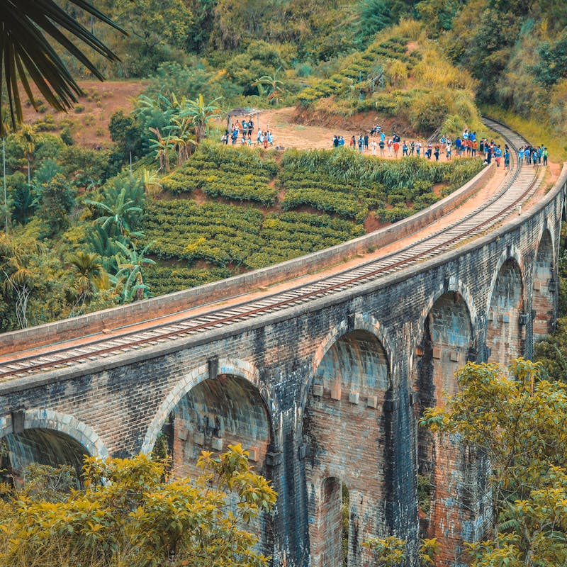 5 Day Sri Lanka Express — Sigiriya, Kandy and Ella Scenic Train