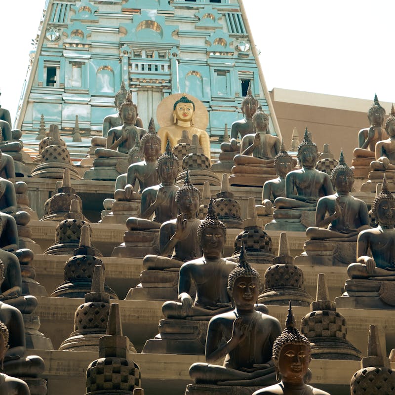 Colombo City Tour Sri Lanka — Temples, Markets and Skyline