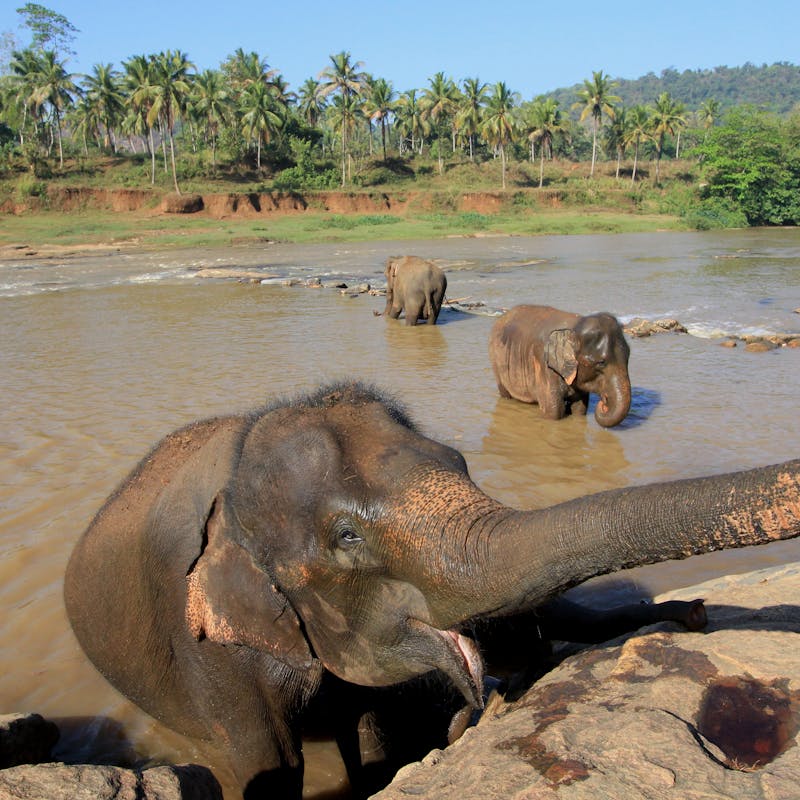15 Day North and East Sri Lanka — Jaffna, Arugam Bay and Wilpattu