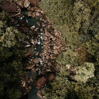 8 Day Sri Lanka Nature Tour — Sinharaja UNESCO Rainforest and Wildlife