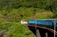 Blue train winding through lush green hills near Ella, Sri Lanka