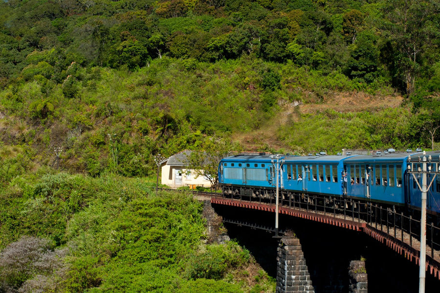 Blue train winding through lush green hills near Ella, Sri Lanka