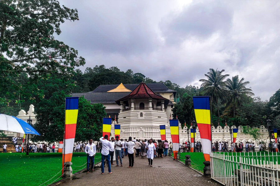 Colourful cultural gathering outside the Temple of the Tooth in Kandy