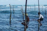 Traditional stilt fishermen perched over the ocean in southern Sri Lanka