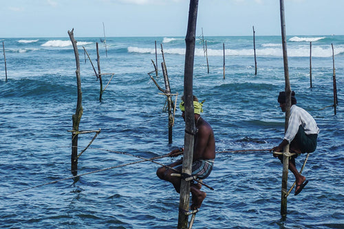 Traditional stilt fishermen perched over the ocean in southern Sri Lanka